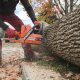 Abattage d’arbre à Gatineau -